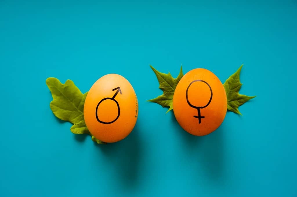 GENDER EQUALITY GRANTS
